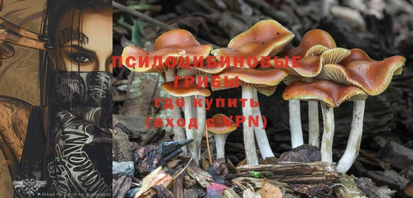 прущие крисы Бородино