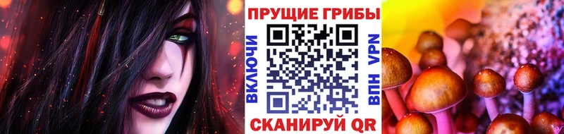 Псилоцибиновые грибы Magic Shrooms  MEGA ссылка  Вязники  закладки 